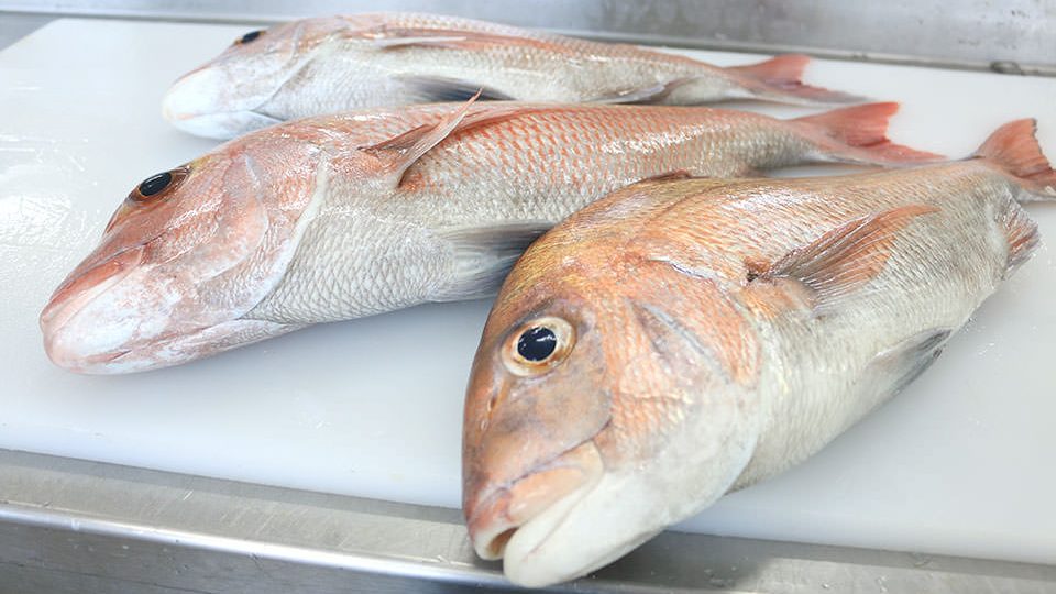 金沢鮮魚の魚 金沢鮮魚