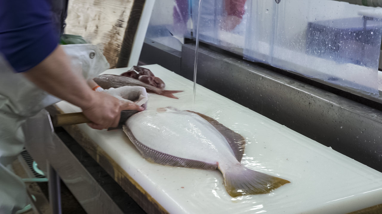 金沢鮮魚の魚 - 金沢鮮魚