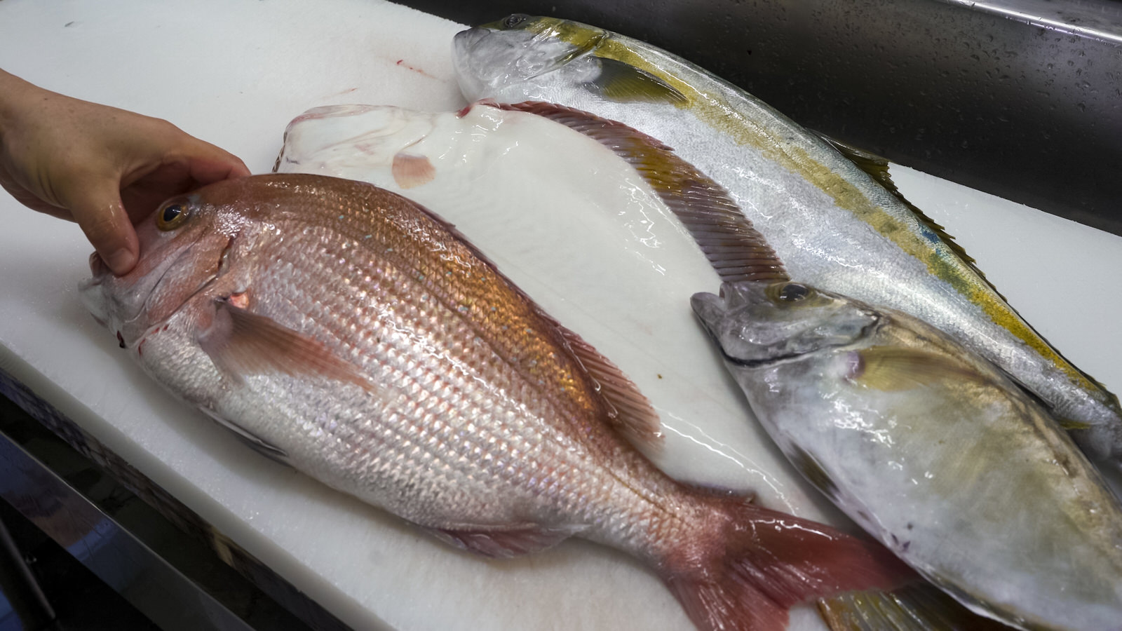 金沢鮮魚の魚 金沢鮮魚